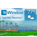 Windows Player